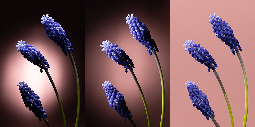 Wie fotografiert man Blumen zu Hause