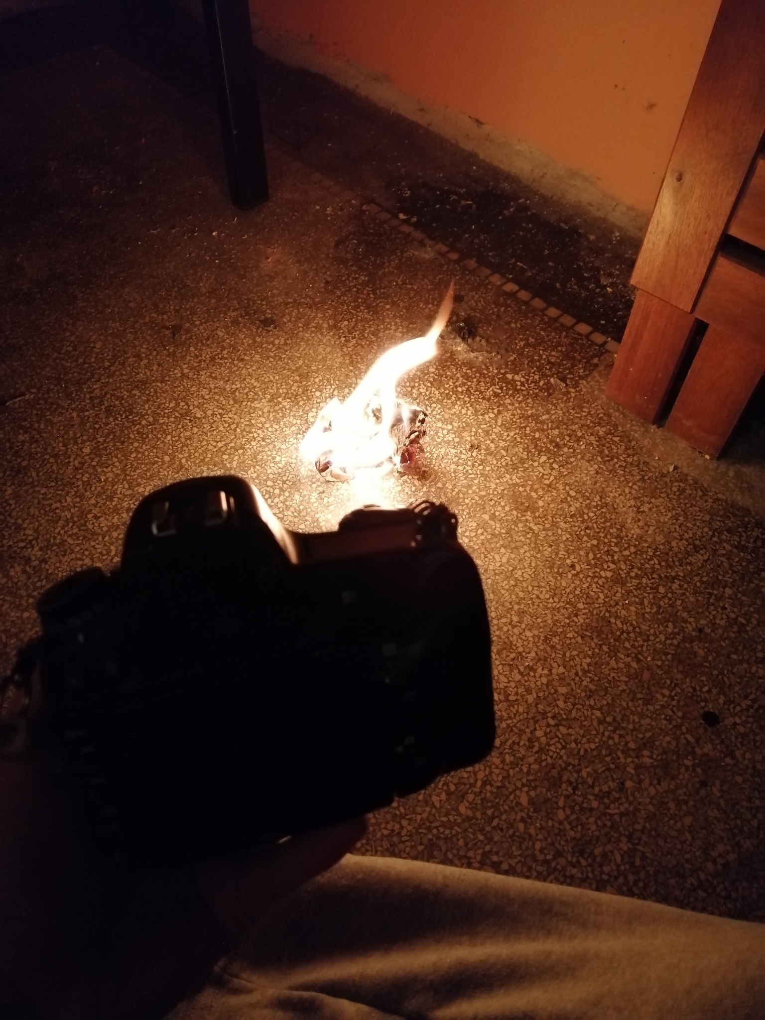 6 Fototricks für mehr Kreativität