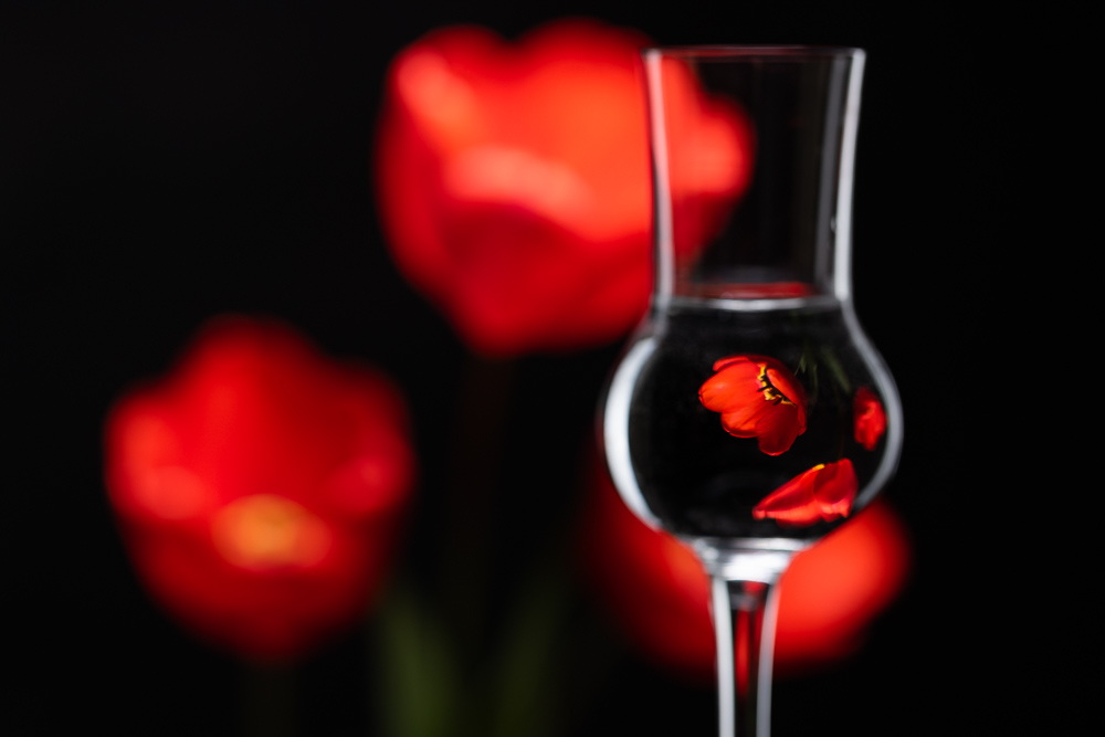 Wie fotografiert man Blumen zu Hause