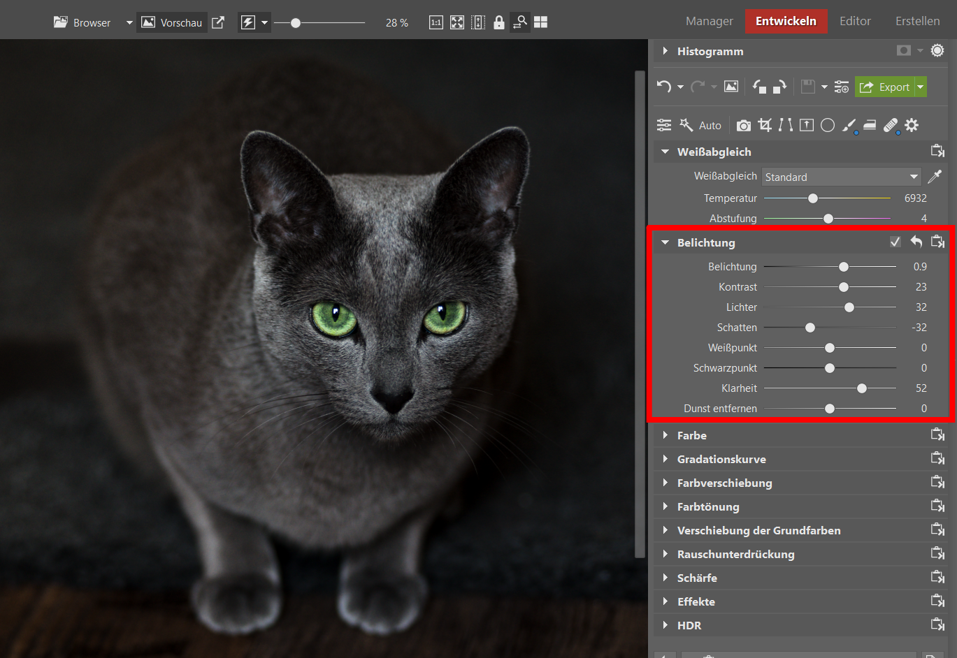 Tipps zum Bearbeiten von Fotos Ihrer Katzenlieblinge