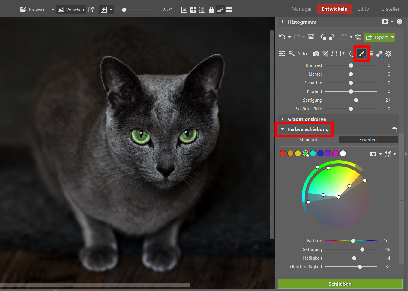 Tipps zum Bearbeiten von Fotos Ihrer Katzenlieblinge