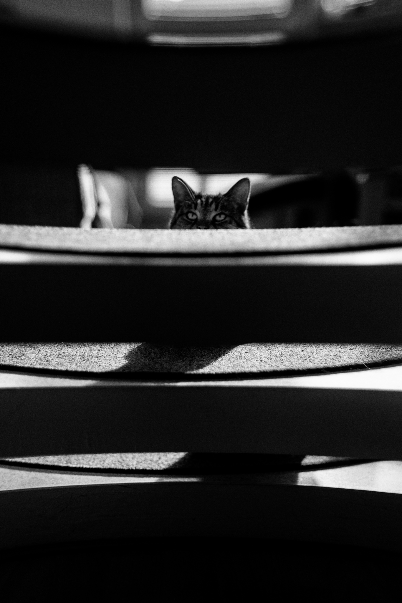 Erstellen Sie minimalistische Fotos und entdecken Sie die Schönheit im Einfachen