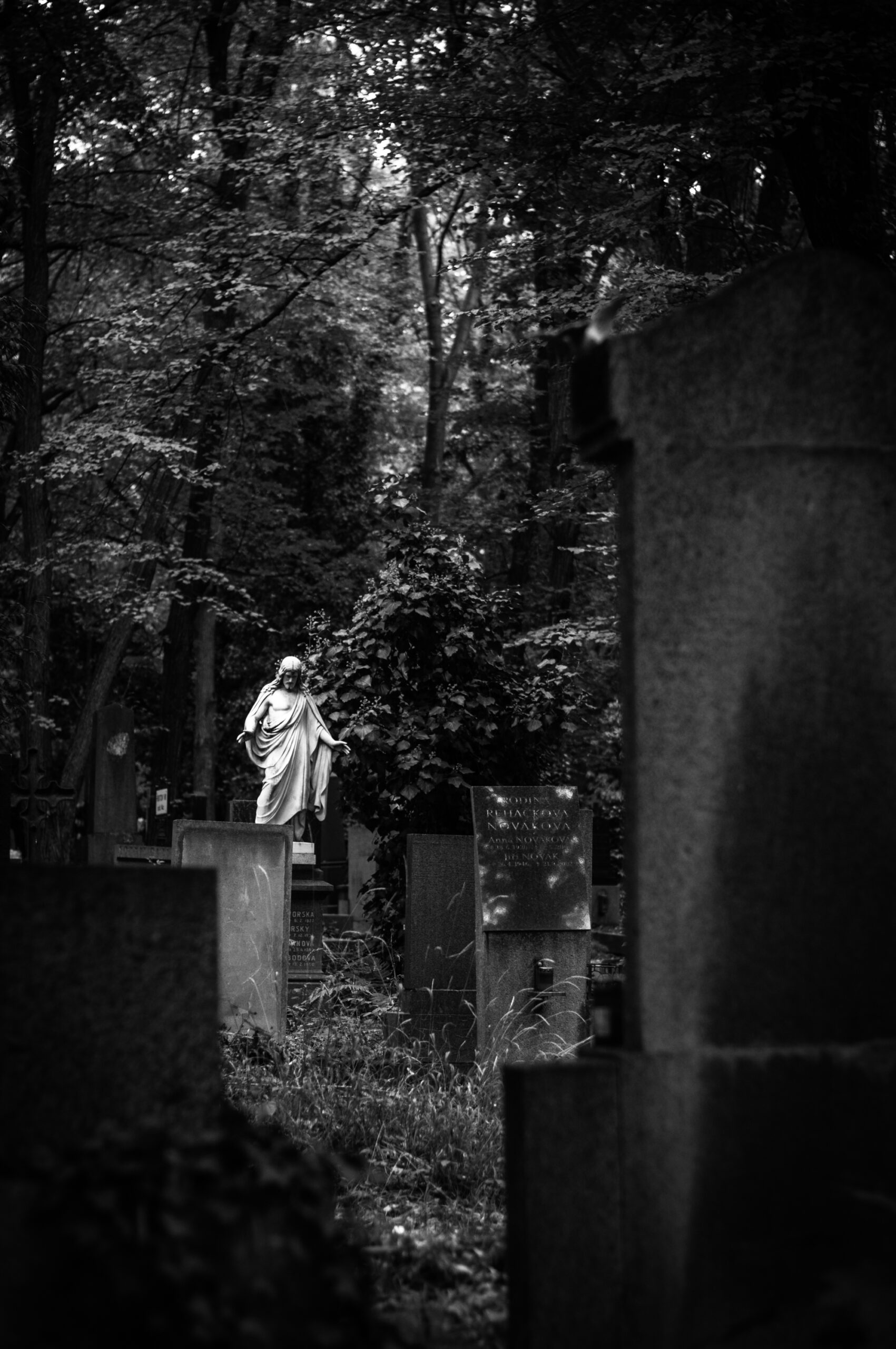 6 Themen, die man in der Stadt fotografieren kann