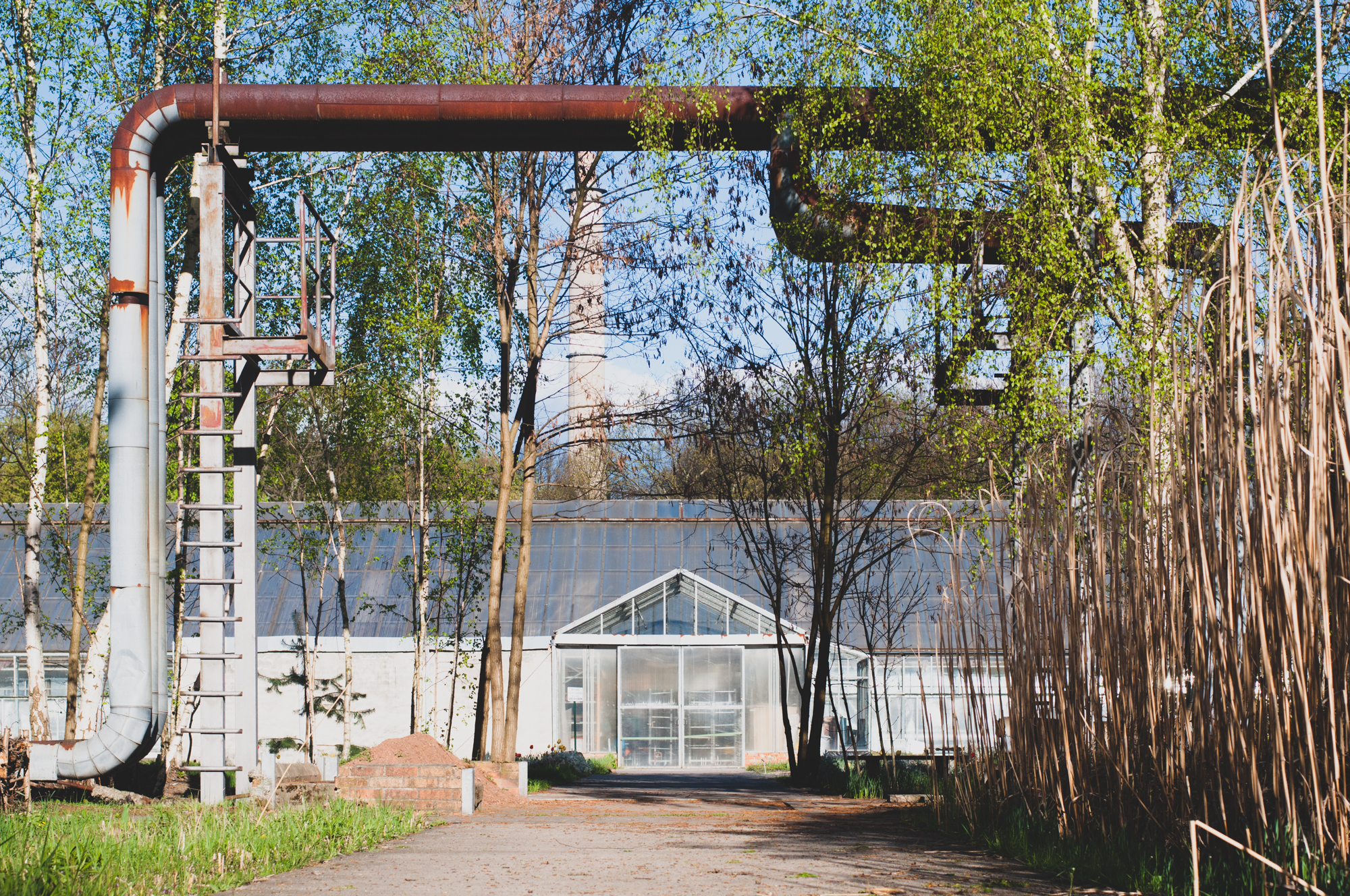 6 Themen, die man in der Stadt fotografieren kann