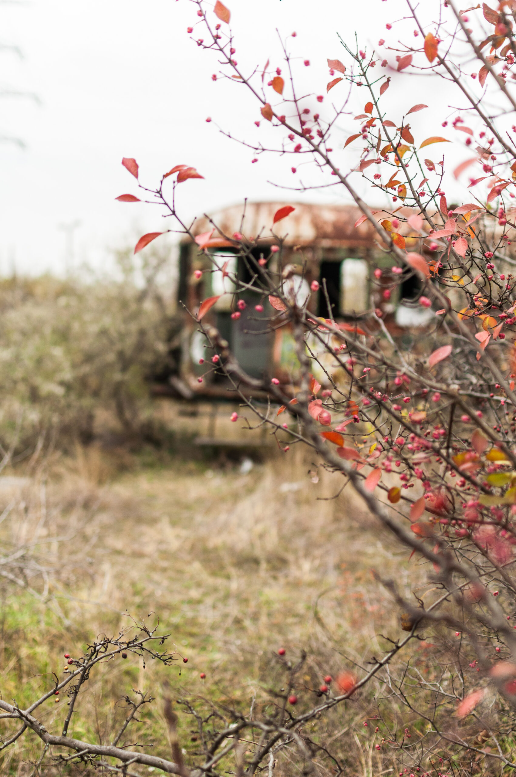 6 Themen, die man in der Stadt fotografieren kann
