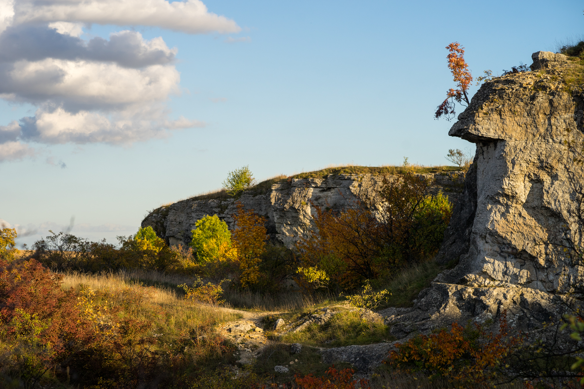 6 Themen, die man in der Stadt fotografieren kann