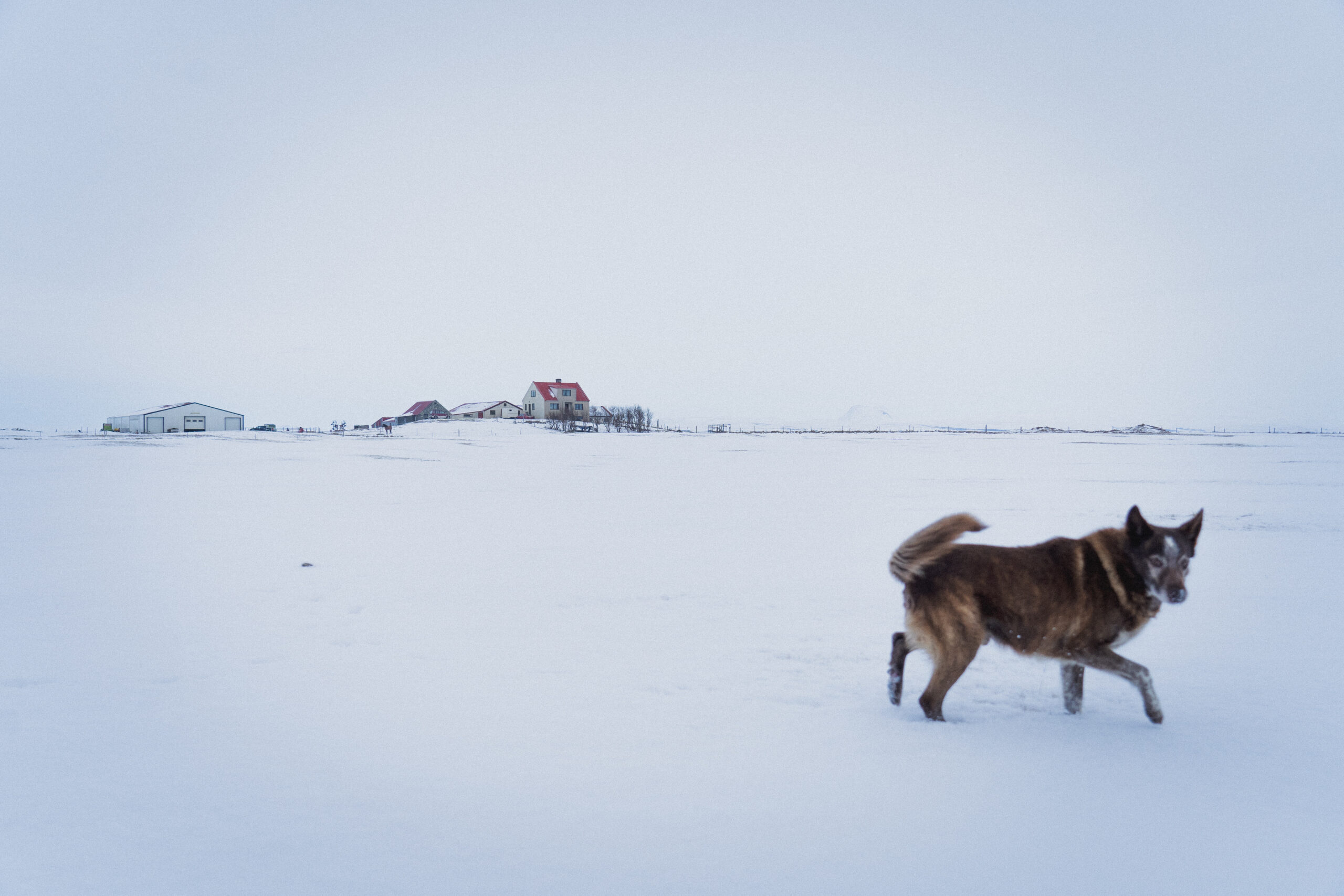 Erstellen Sie eine Winter-Fotoserie
