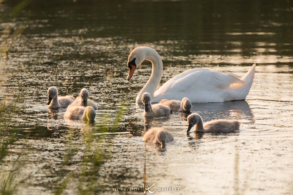 Was man im Frühling fotografieren kann