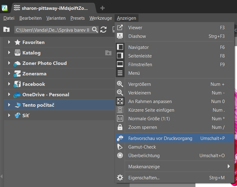 Farbverwaltung in Zoner Studio: weitere Funktionen