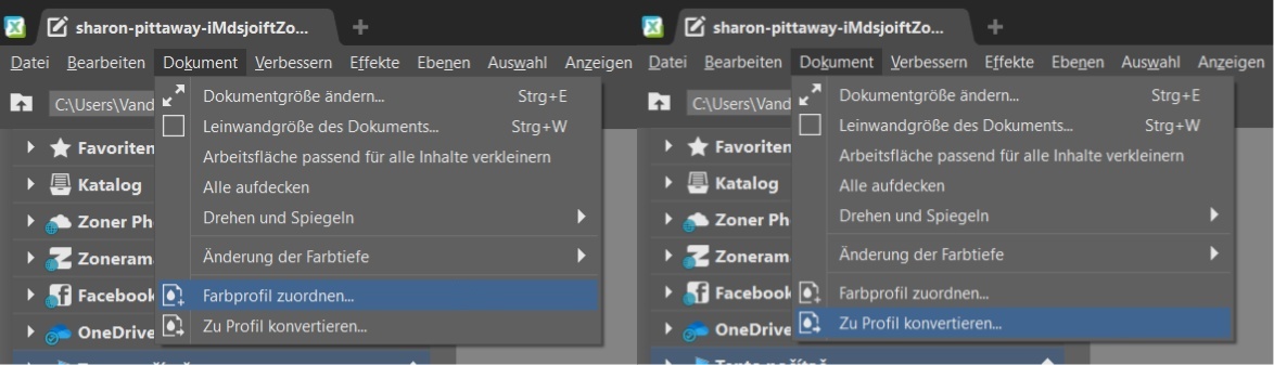 Farbverwaltung in Zoner Studio: weitere Funktionen