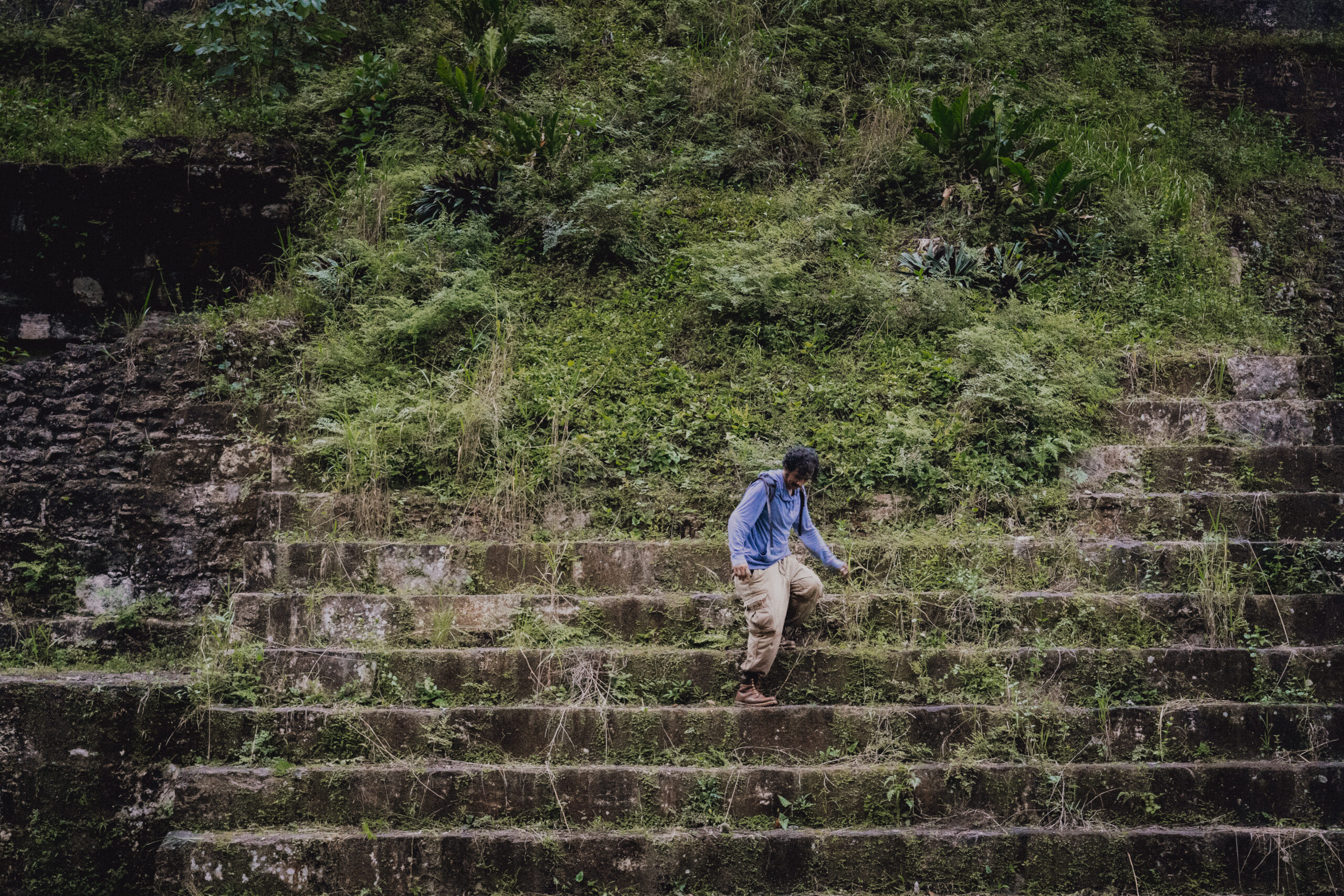 tropischen Dschungel Mexikos und Guatemalas