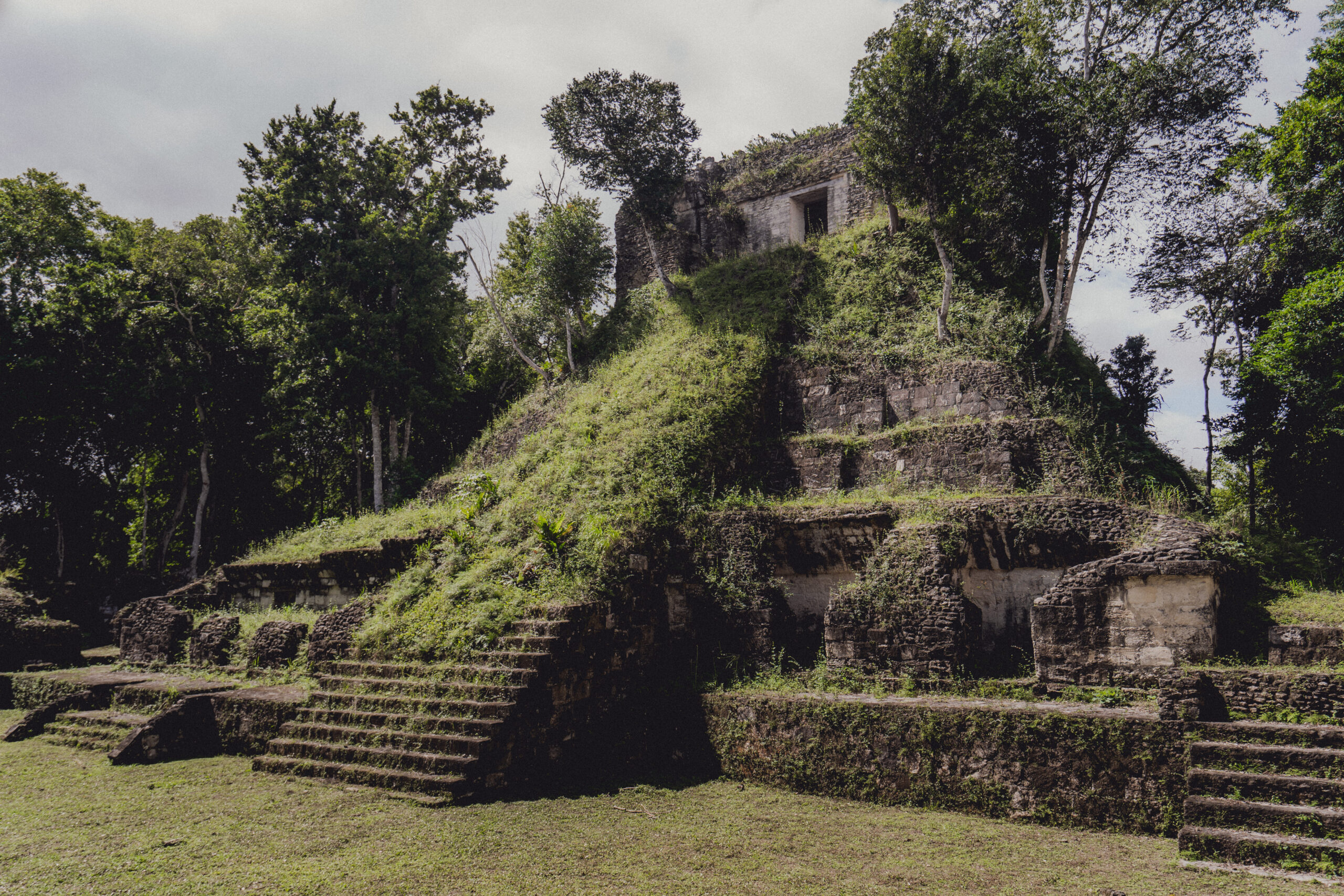 tropischen Dschungel Mexikos und Guatemalas