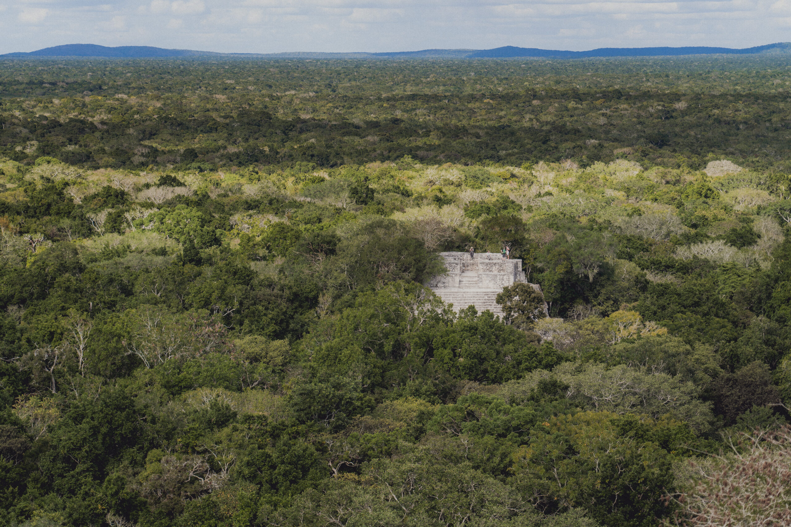 tropischen Dschungel Mexikos und Guatemalas