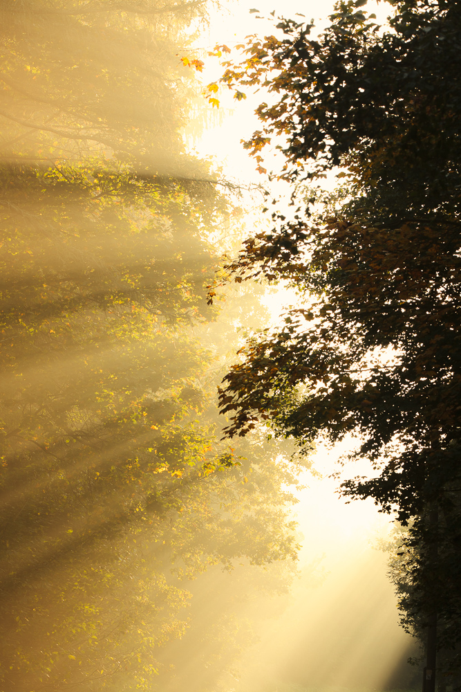 Inspiration für Bilder nach dem Regen