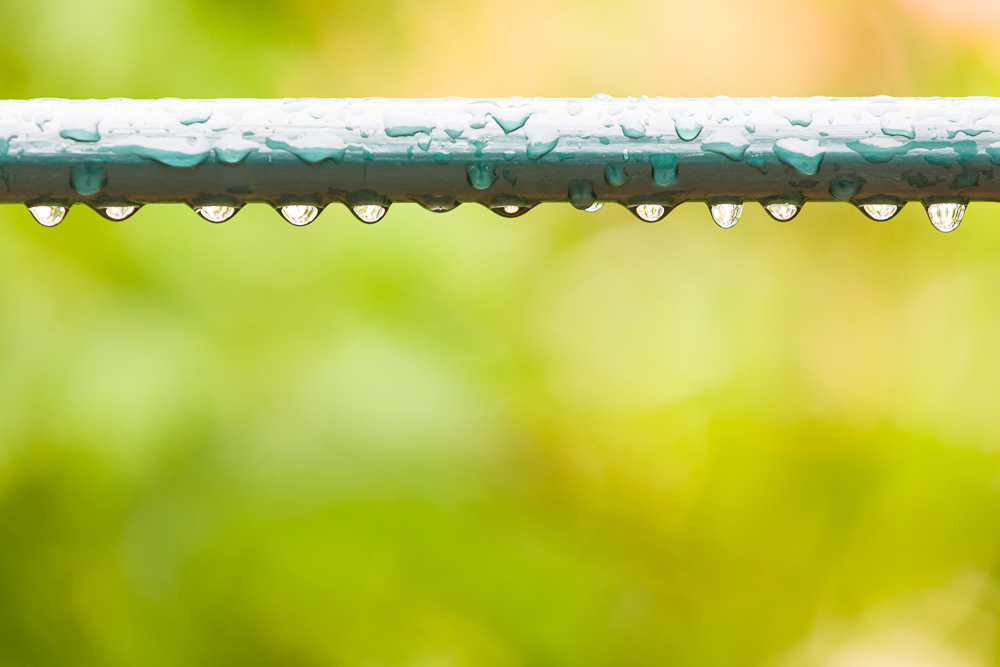 Inspiration für Bilder nach dem Regen