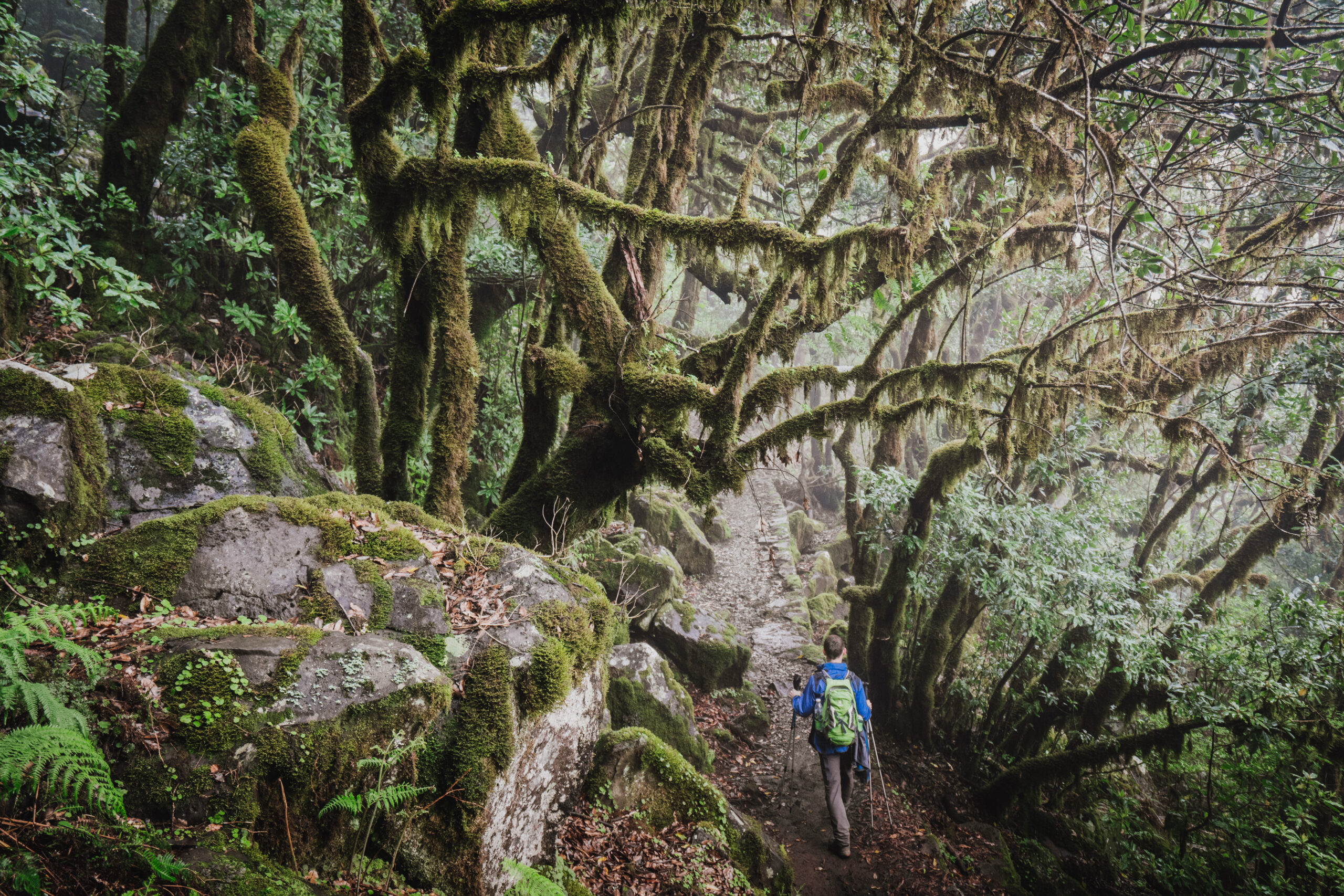 Madeira - ein Paradies für Fotografen