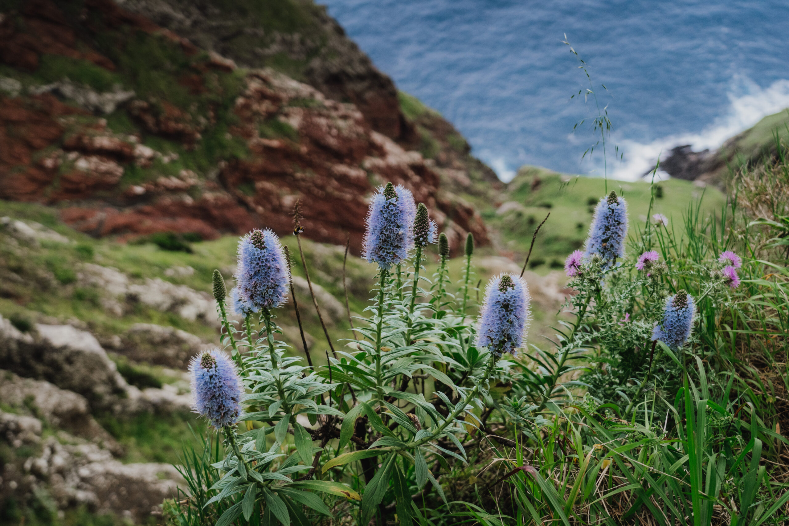 Madeira - ein Paradies für Fotografen