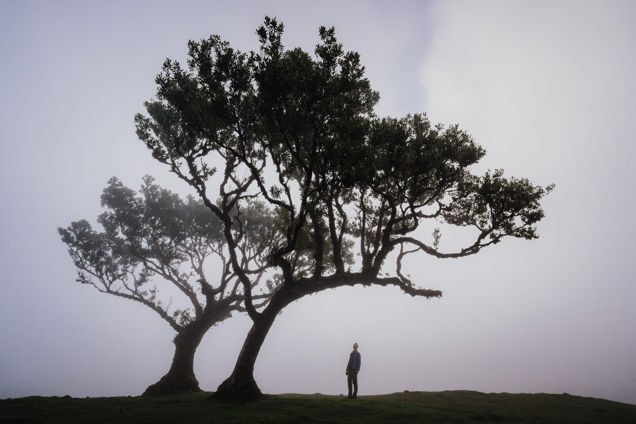 Madeira - ein Paradies für Fotografen