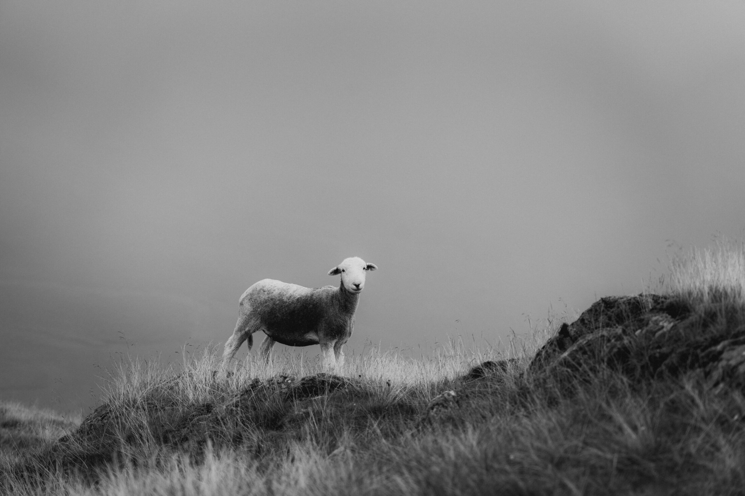 Die verborgene Schönheit der nordenglischen Nationalparks