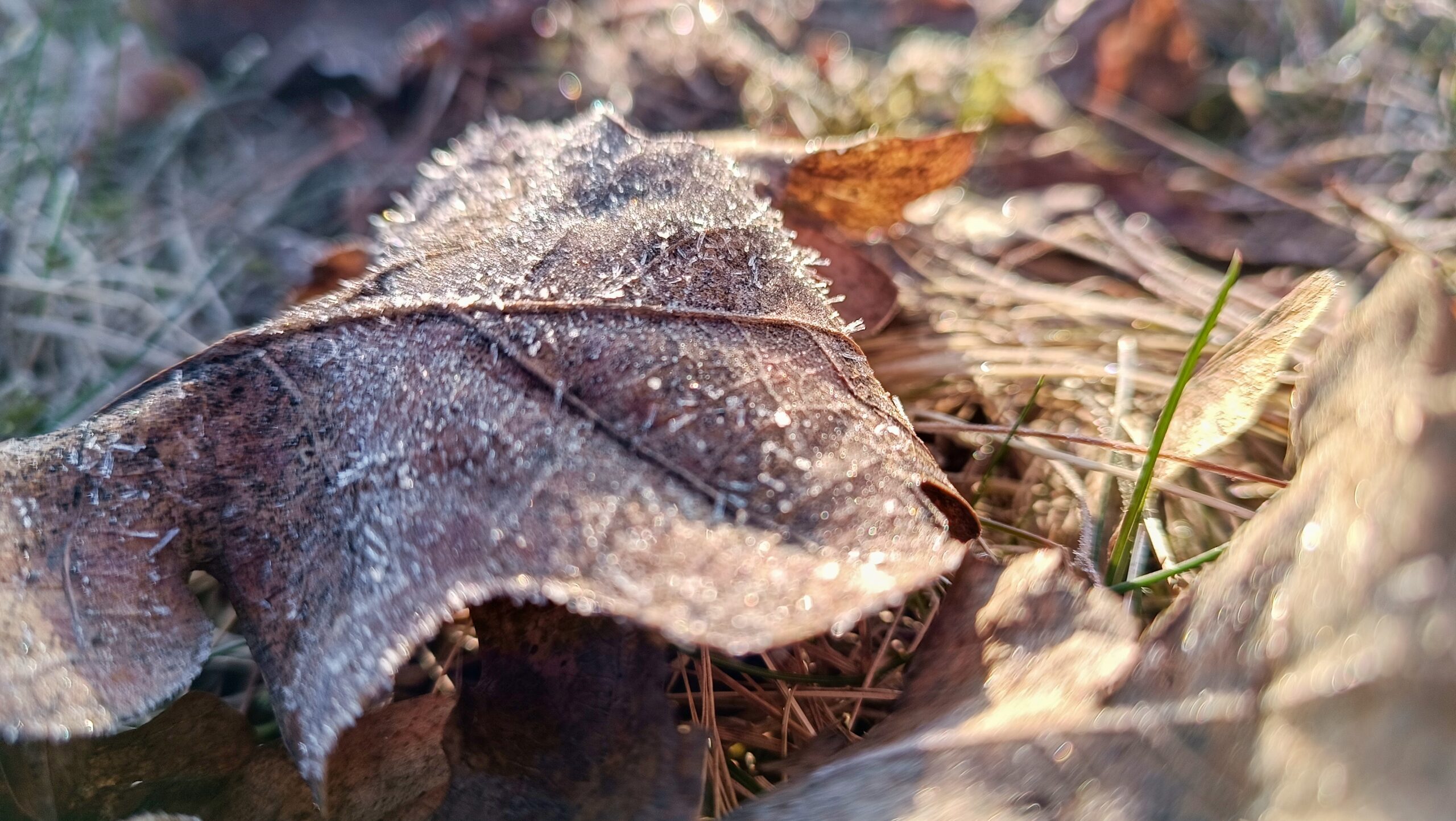 Auch schlechtes Wetter kann interessante Fotos hervorzaubern
