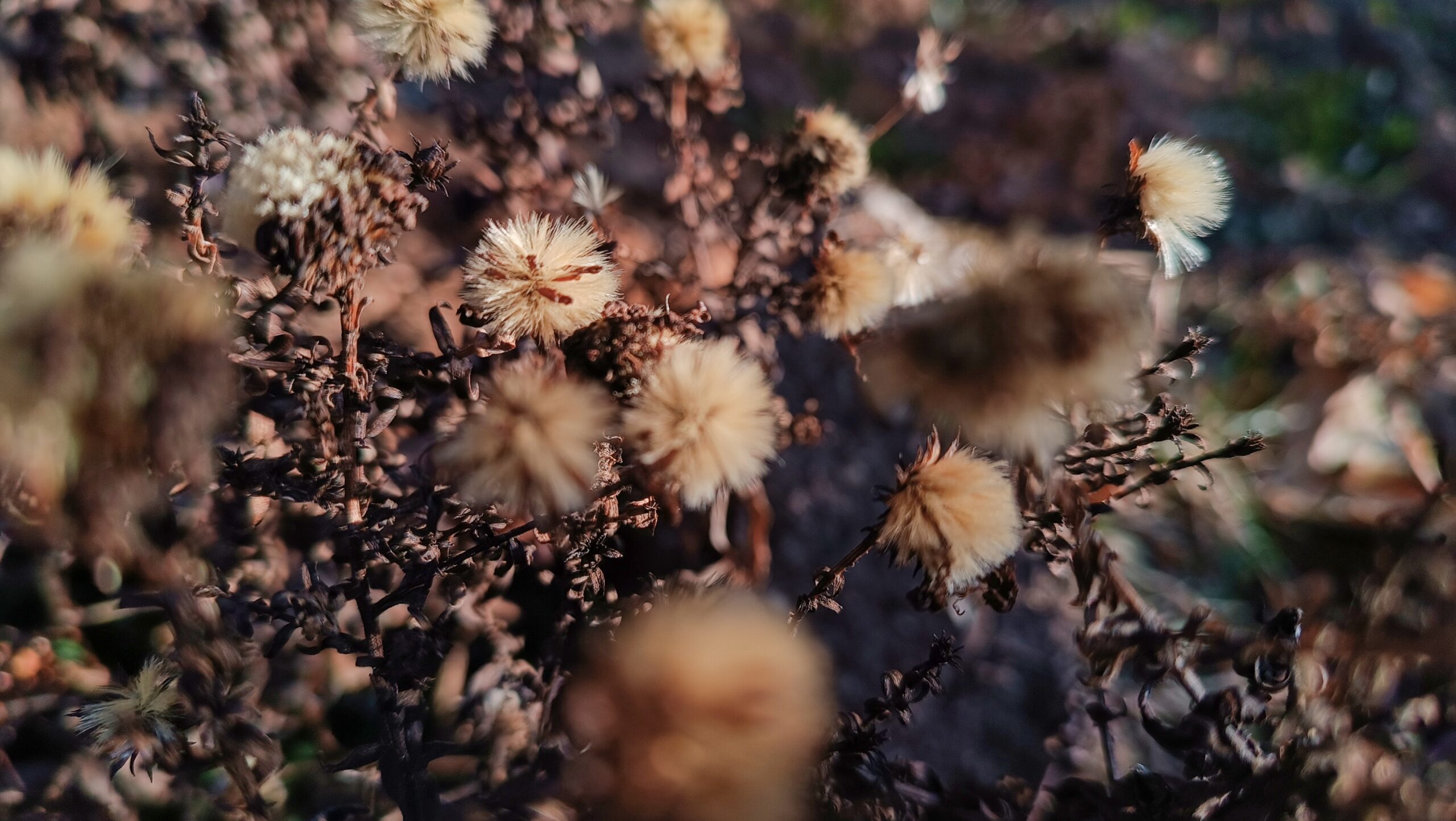 Auch schlechtes Wetter kann interessante Fotos hervorzaubern