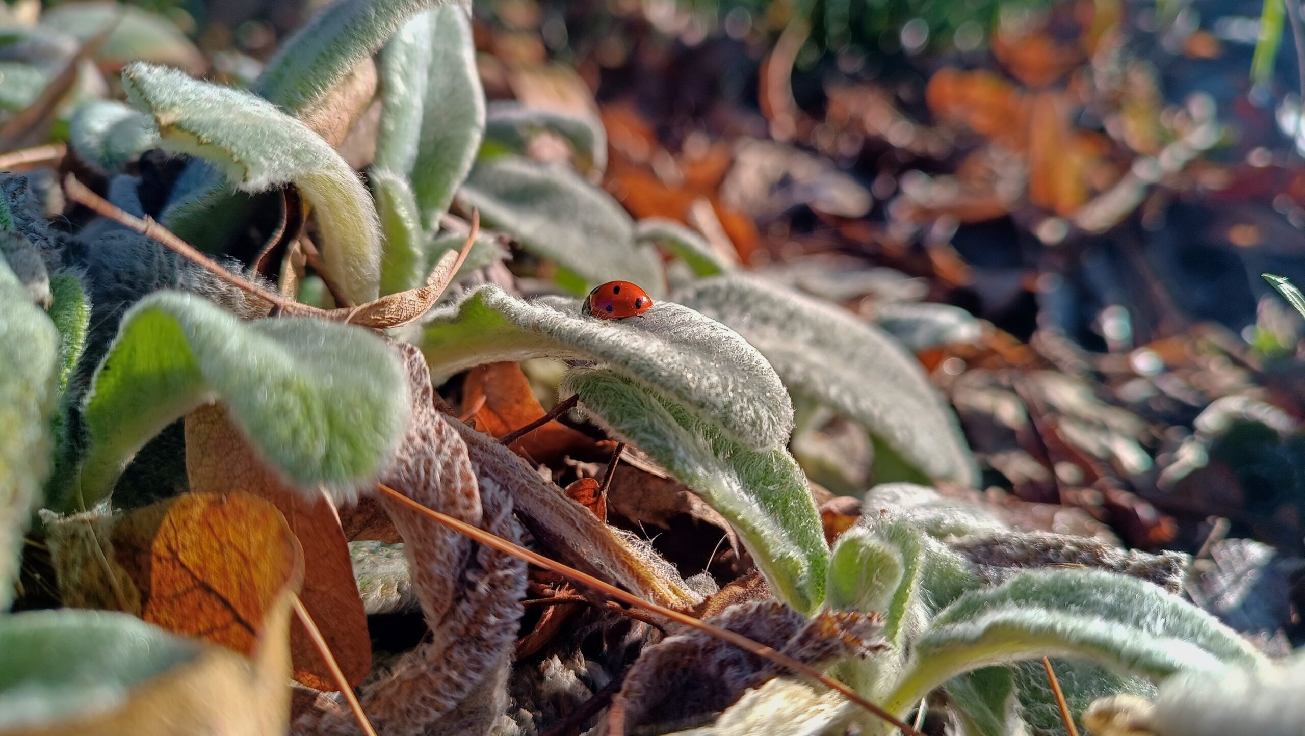 Auch schlechtes Wetter kann interessante Fotos hervorzaubern