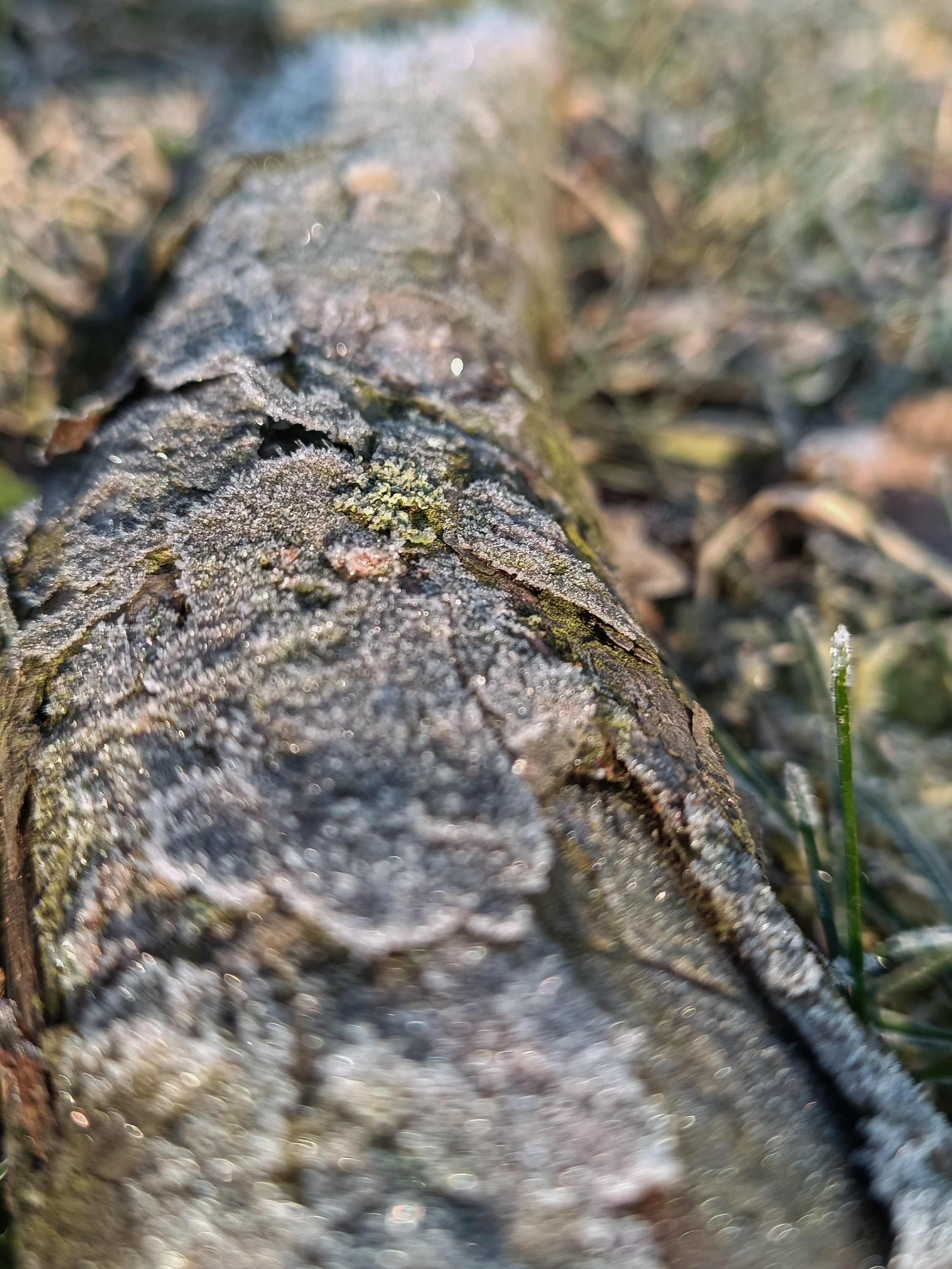 Auch schlechtes Wetter kann interessante Fotos hervorzaubern