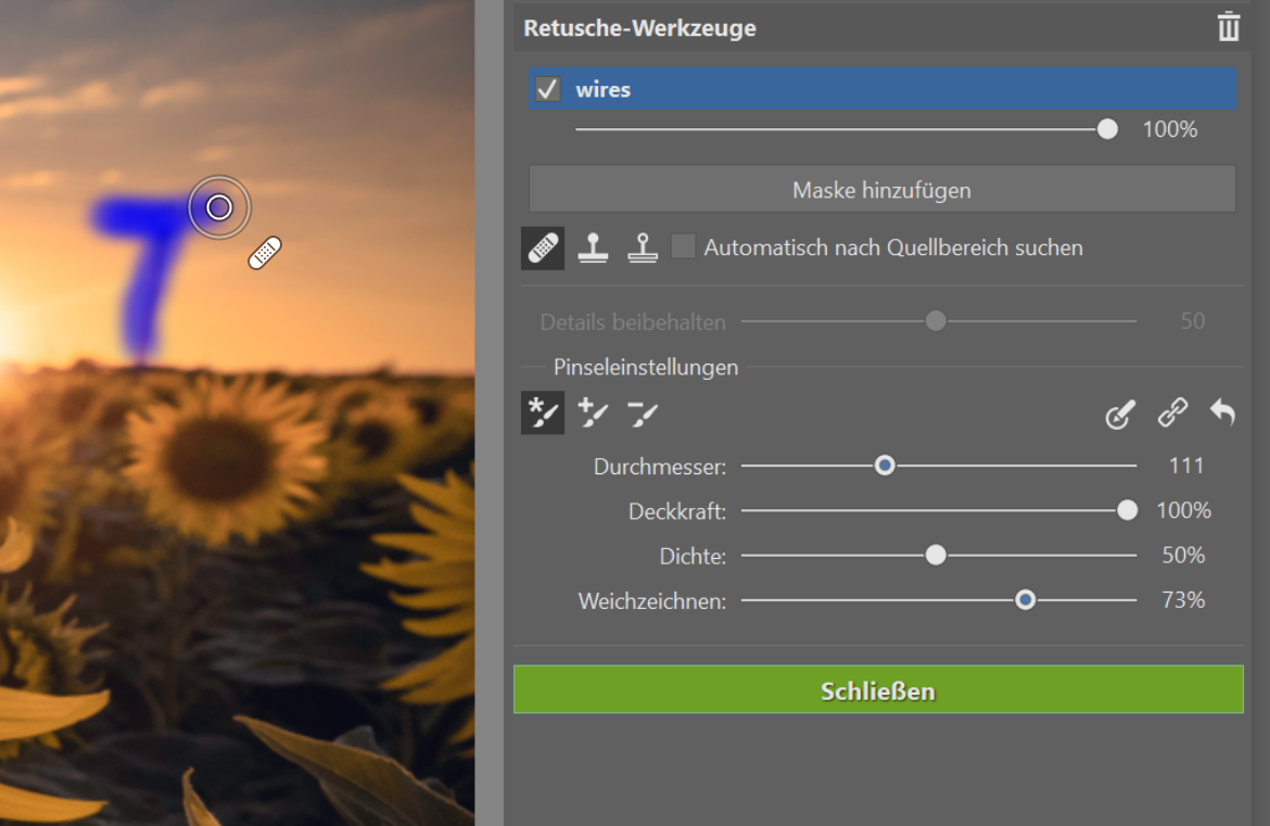 Entfernen Sie Drähte, Müll oder andere unerwünschte Objekte auf Ihren Fotos