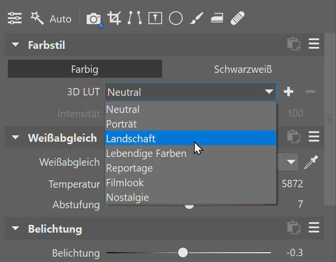 Nutzen Sie die 3D LUTs