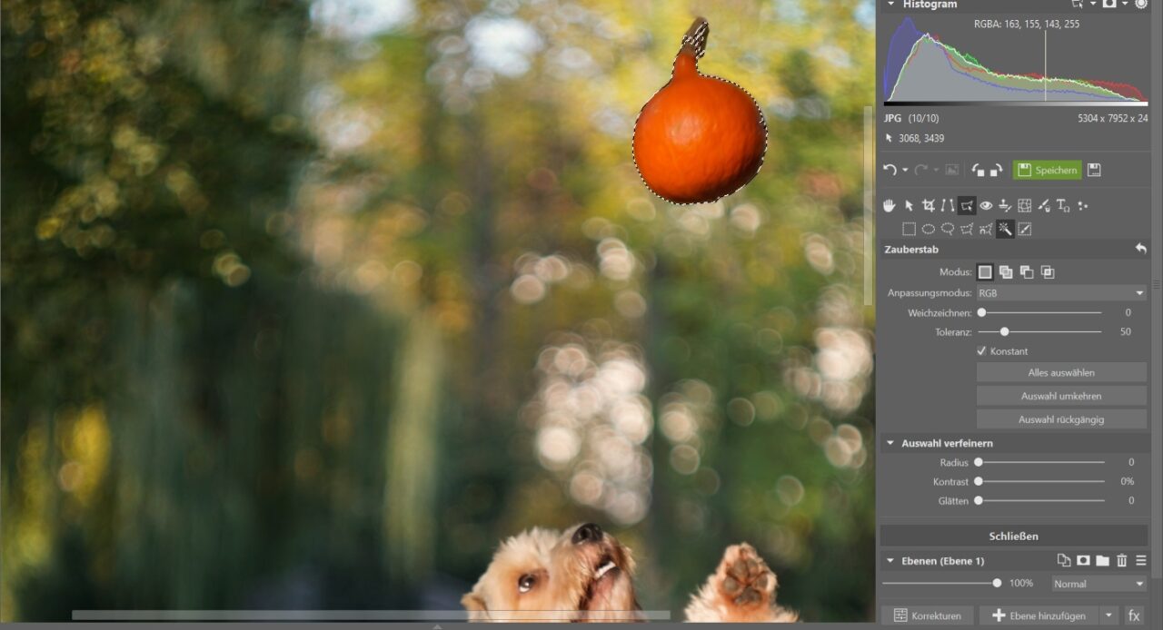 Halloween-Fotoshooting, Zauberstab
