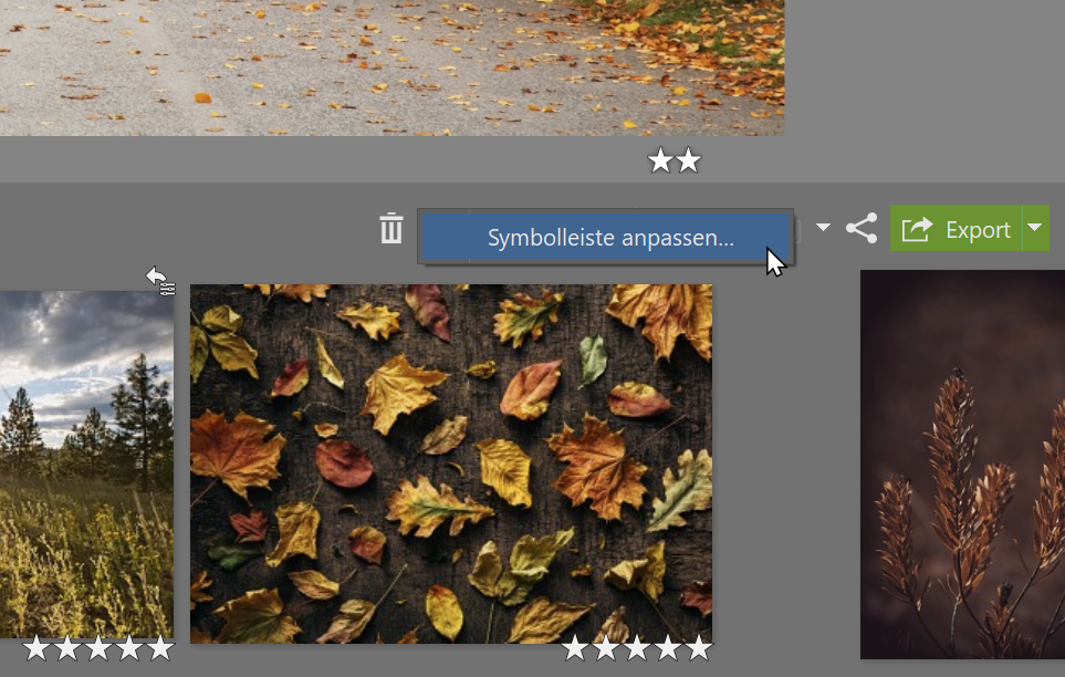 Zoner Studio personalisieren, symbolleiste anpasten
