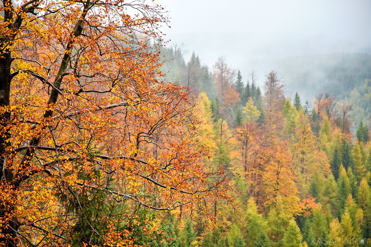 TOP 10 Fotos unserer Leser, Ambassador, Daniel Kasal