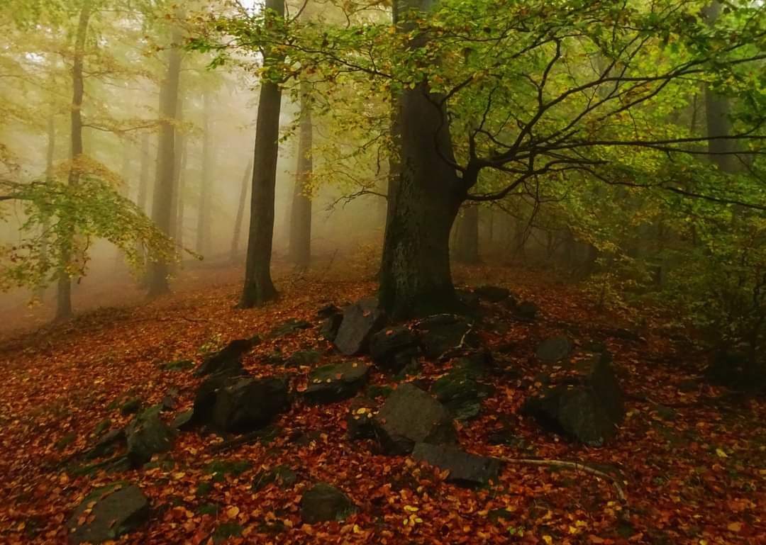 TOP 10 Fotos unserer Leser, weitere 20, Kateřina Wernerová