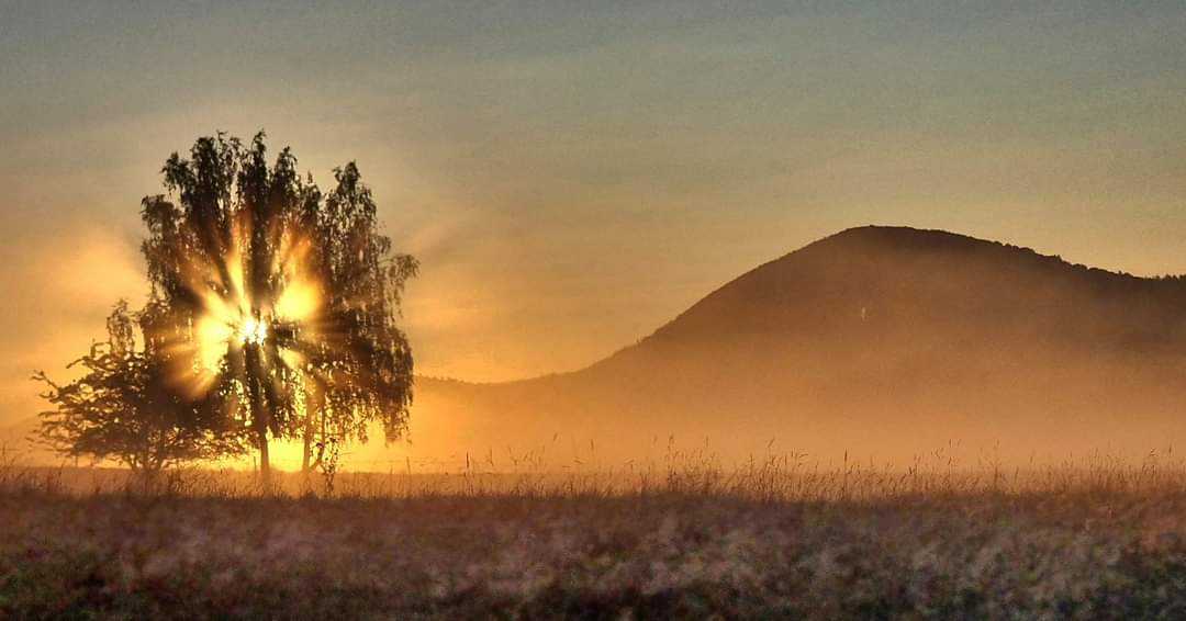 TOP 10 Fotos unserer Leser, weitere 20, Marian Mastrla