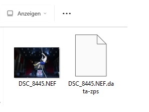 Zoner Studio, metadaten