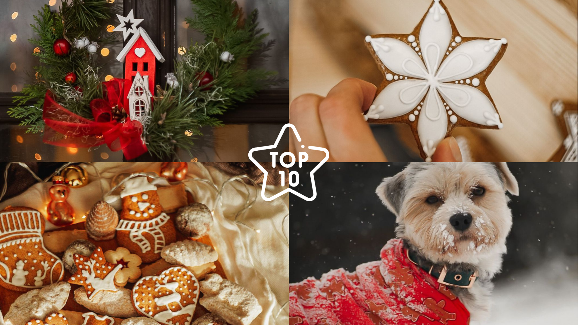 TOP 10 Fotos unserer Leser - Thema Advents-Freuden