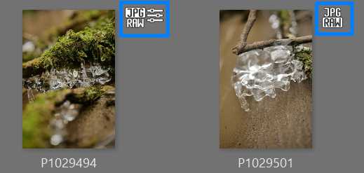 Duo RAW + JPG, ausgewaehltes