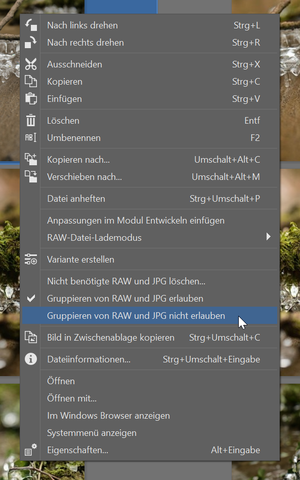 Duo RAW + JPG, gruppieren ablehnen
