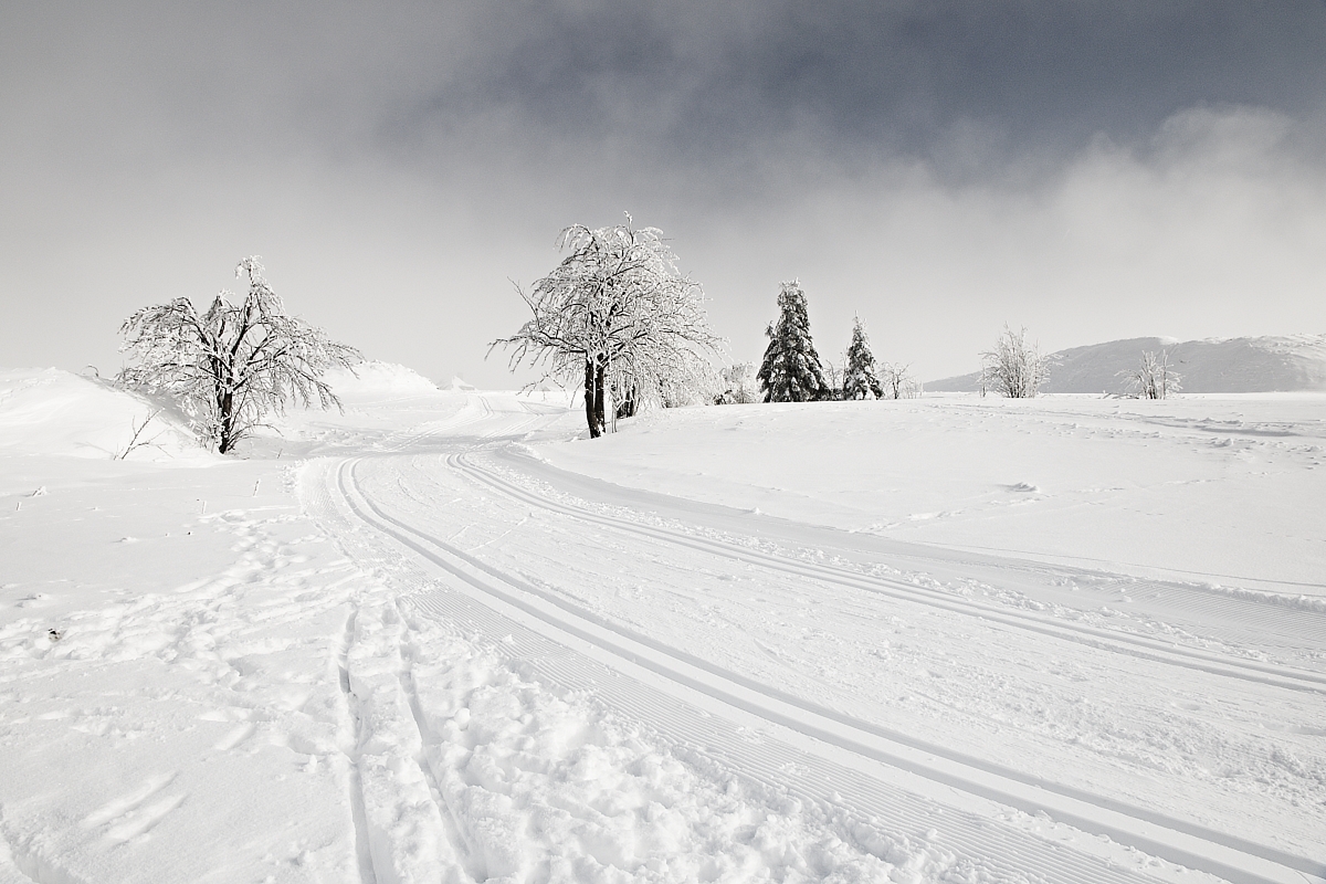 TOP 10, Winterzauber, Jana Hrnková