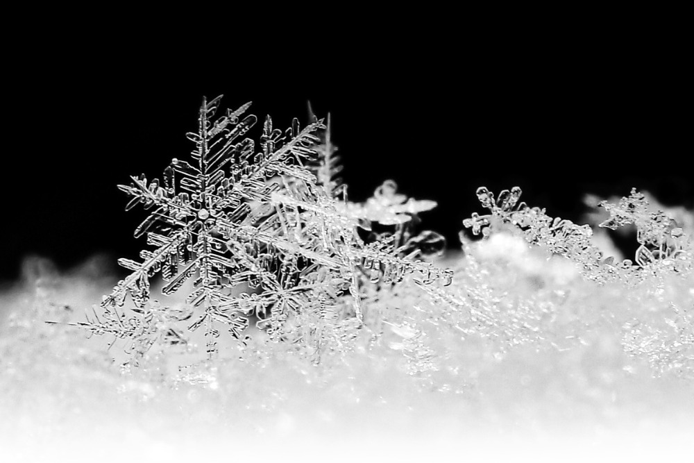 TOP 10, Winterzauber, Marta Čížková