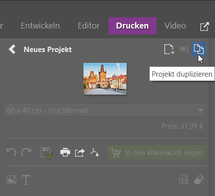 Triptychon, Projekt duplizieren