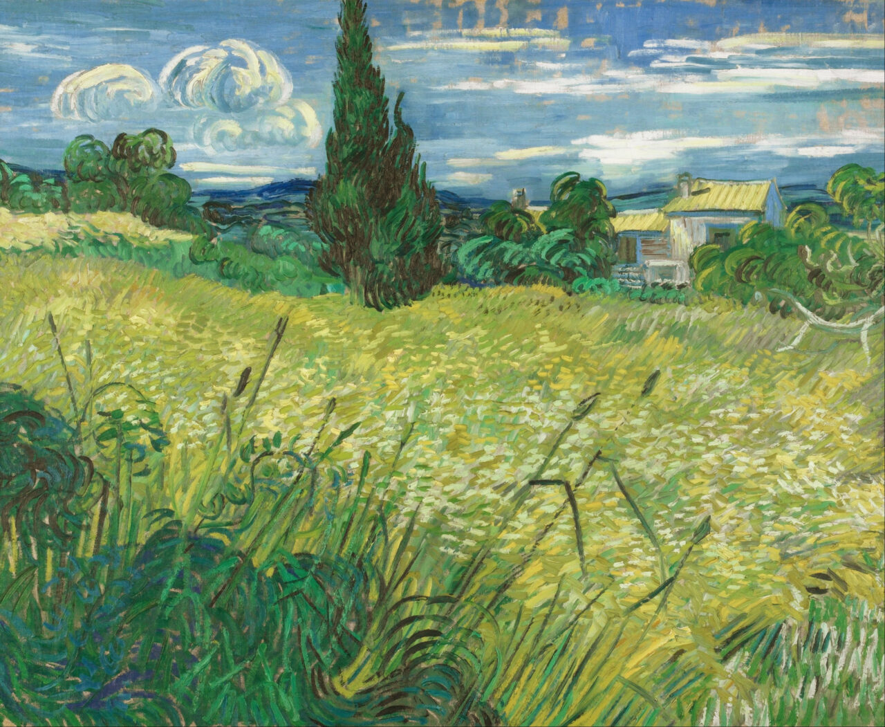 Farben in der Fotografie: Farbe Grün, Grünes Weizenfeld mit Zypresse. Vincent Van Gogh (1889)

