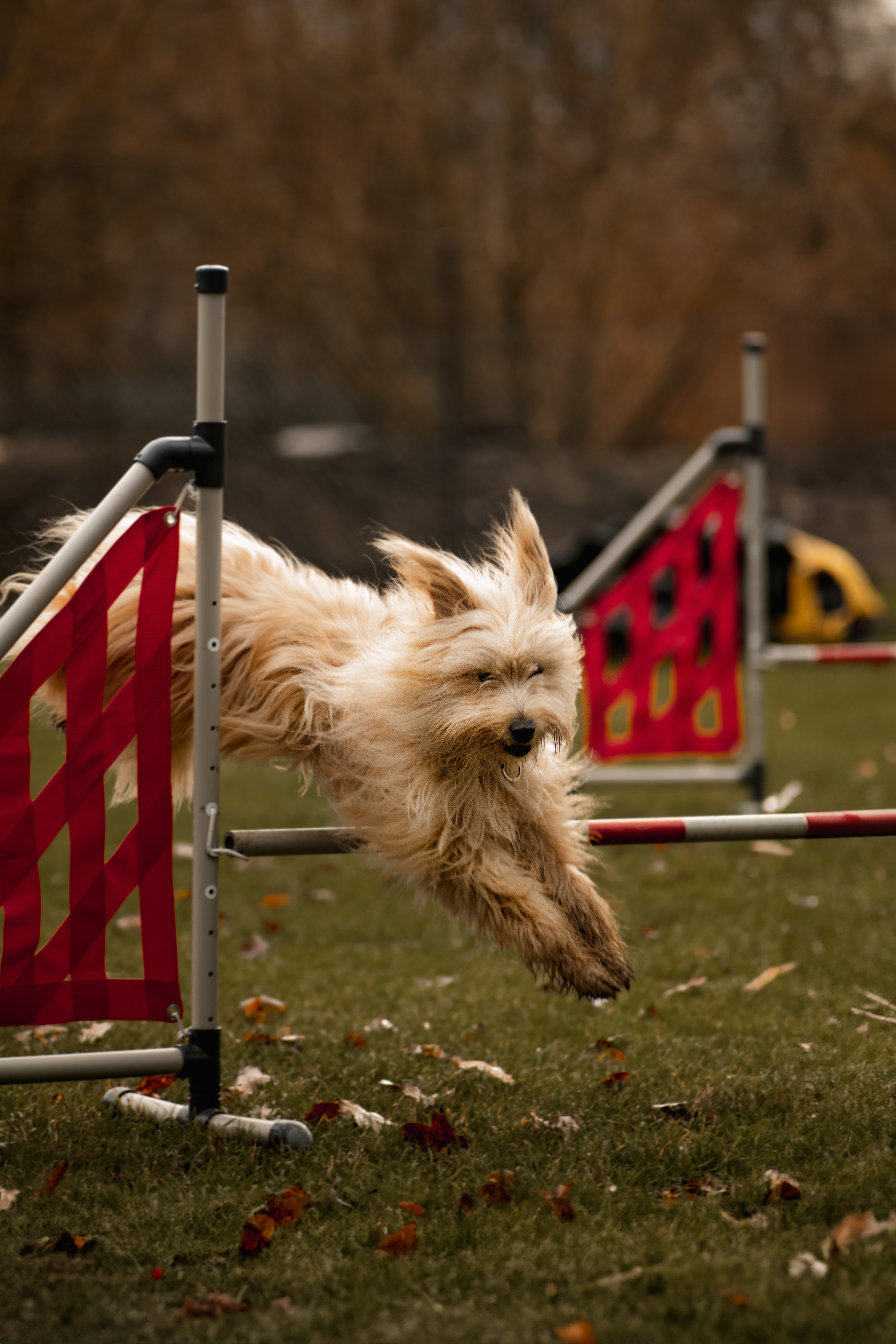 Die Komposition des Fotos