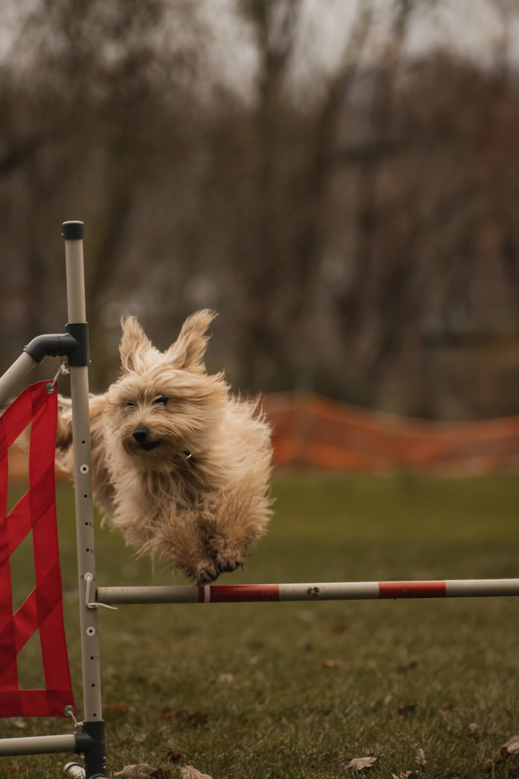 Die Komposition des Fotos