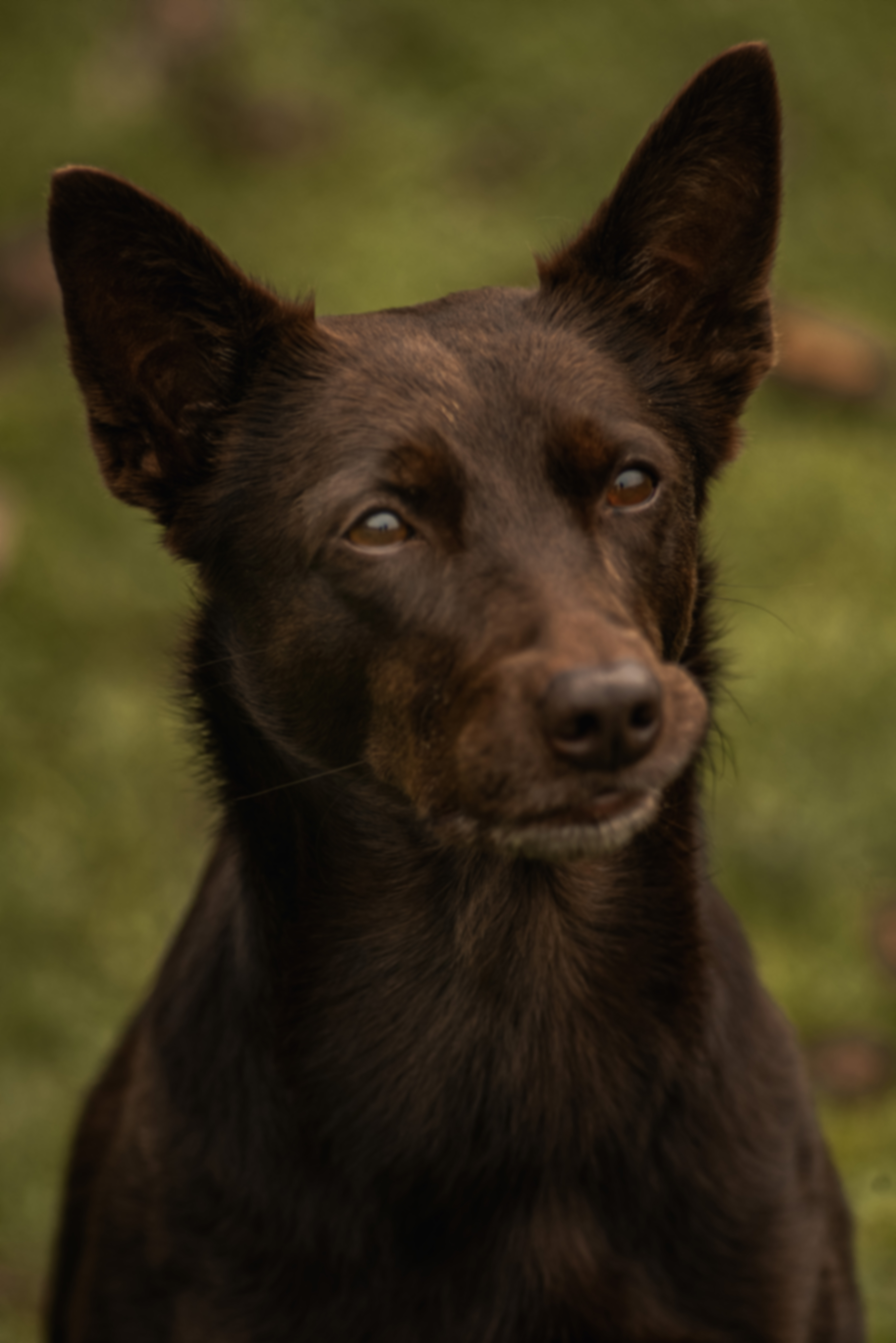 Die Komposition des Fotos