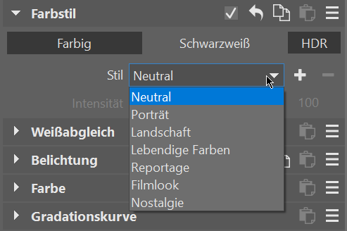 Zoner Studio Frühjahrs-Update 2024, farbstil