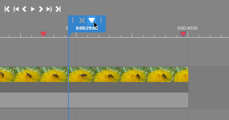 Hinzufügen einer Marke in Zoner Studio