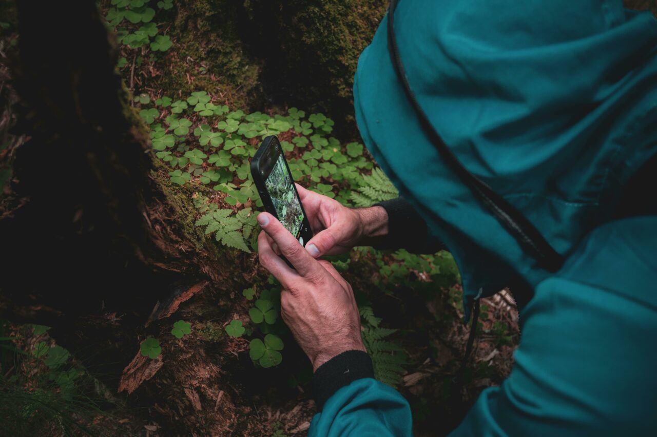 Handyfotografie, detail