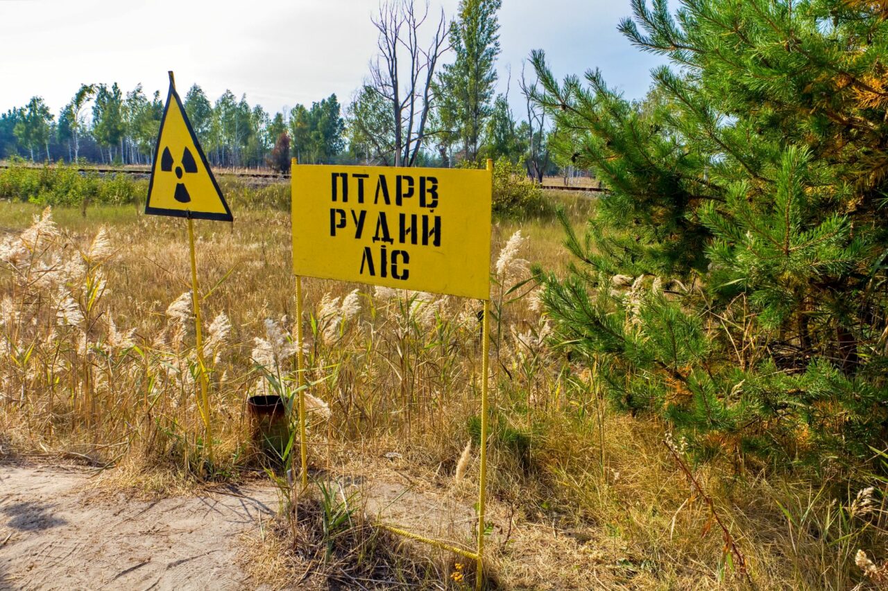 Tschernobyl, Achtung - Roter Wald