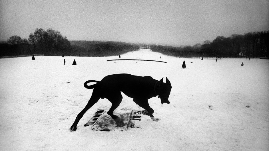 Entwicklungsstufen eines Fotografen, koudelka